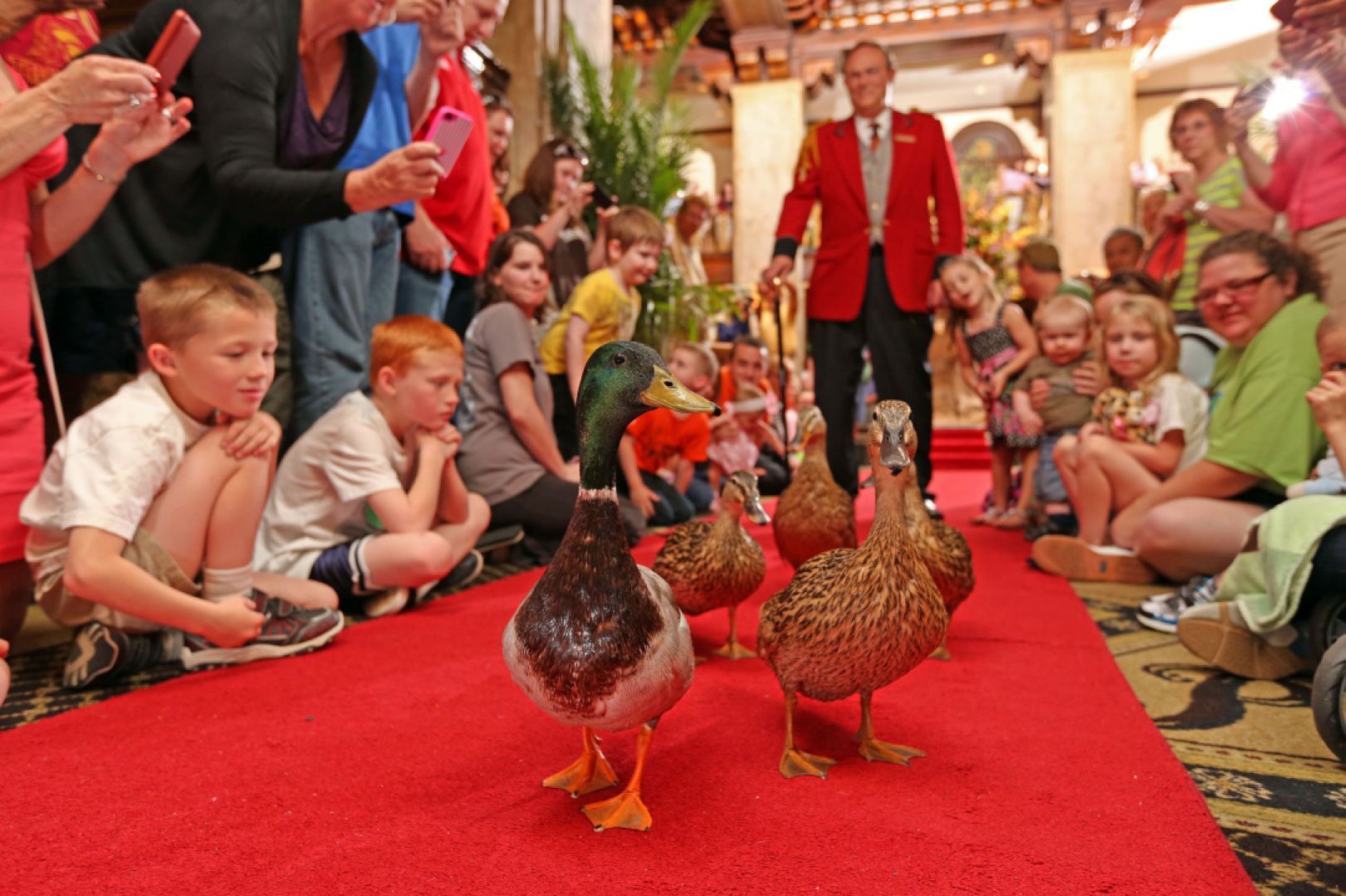 Peabody Duck March